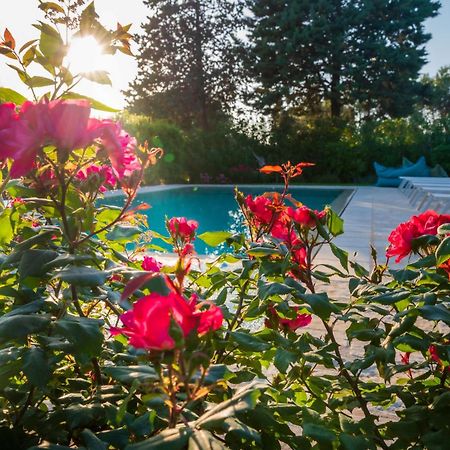 Trullo Amarcord Villa Selva Di Fasano Dış mekan fotoğraf